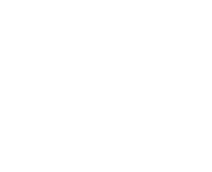 Maruhide logo